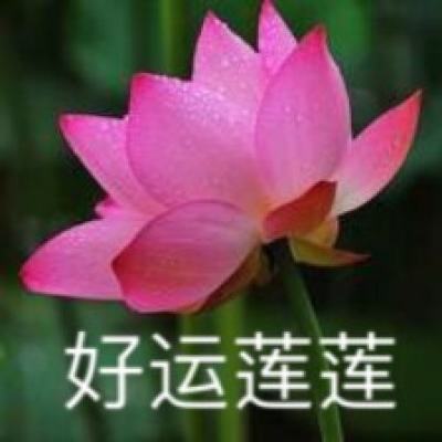 2024广州海珠华侨华人交流合作大会召开